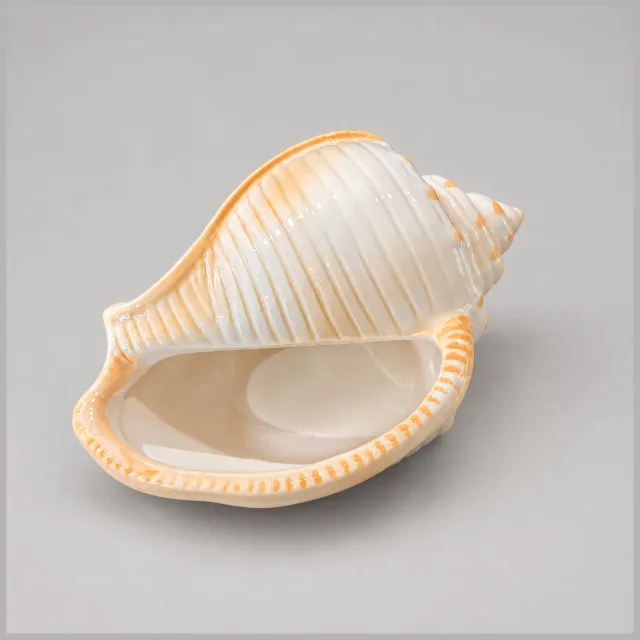 Various Ceramic shell Dishes