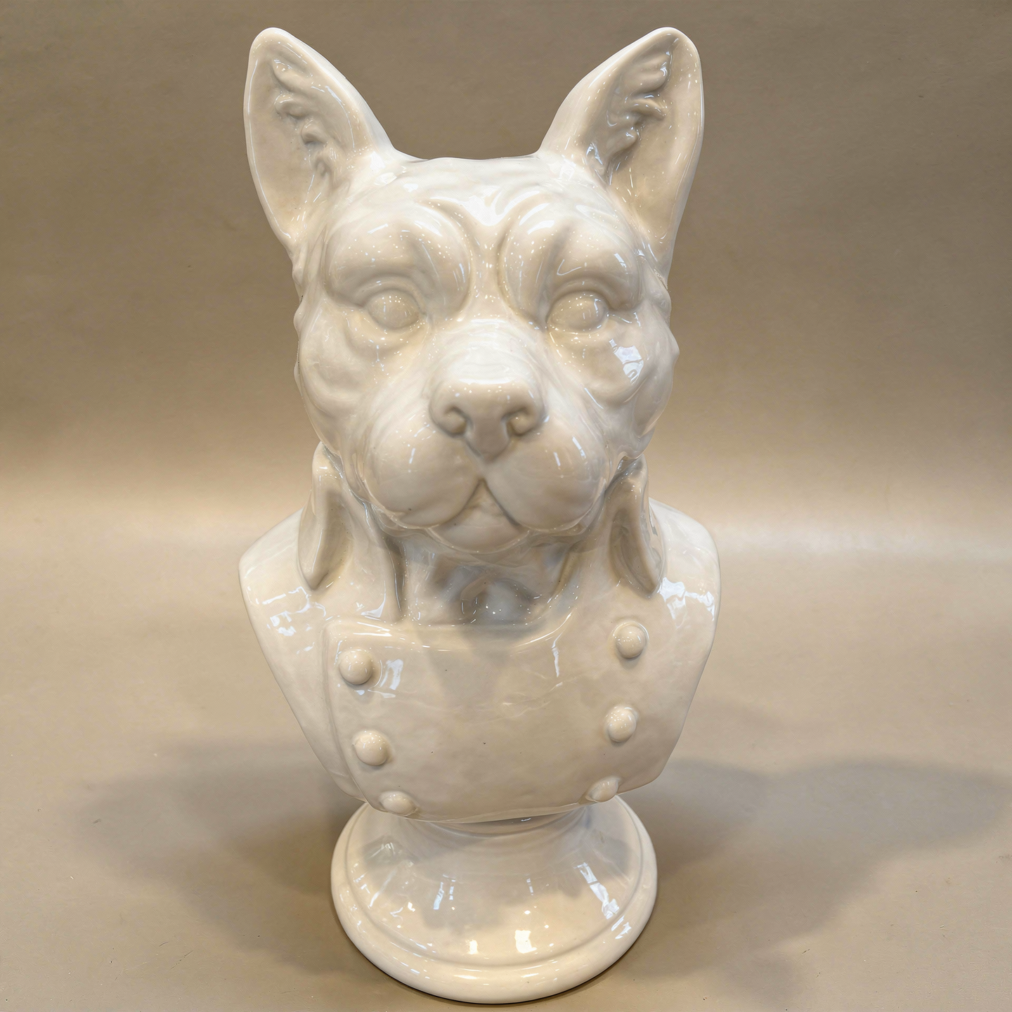 Dog Bust