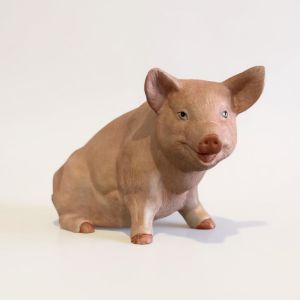 Royal crown pig