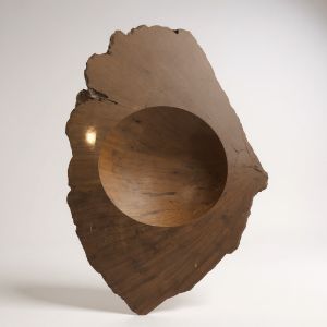 Petrified wood bowl
