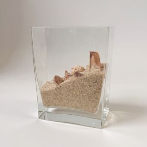 Glass Vase