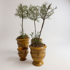 Anduze Vases with topiary set of (3)